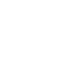 bud light