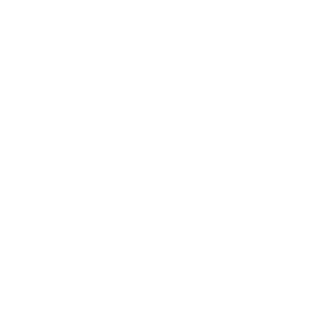 granix.2